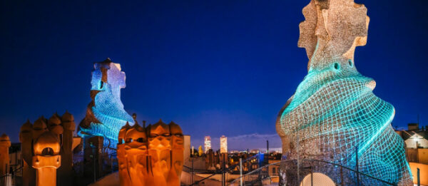 ナイトエクスペリエンスツアー